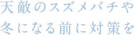 天敵のスズメバチや冬になる前に対策を