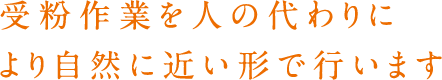 受粉作業を人の代わりにより自然に近い形で行います