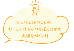 じっくりと待つことが、おいしいはちみつを採るための大切なポイント!